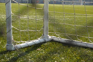 米兰体育app官网入口-中国足球门将扑救区域热图，中国足球门将最差吗