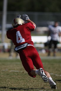 米兰体育在线登录-五大联赛最具统治力的球队如何打造，五大联赛良心球队